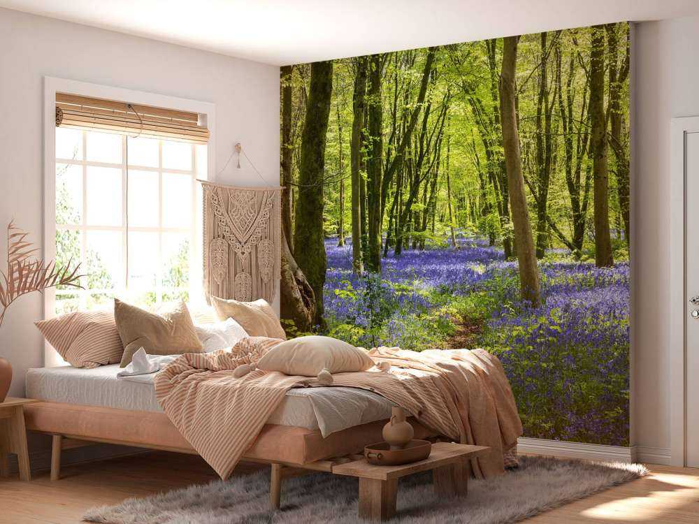 Forêt dans la lumière du soleil