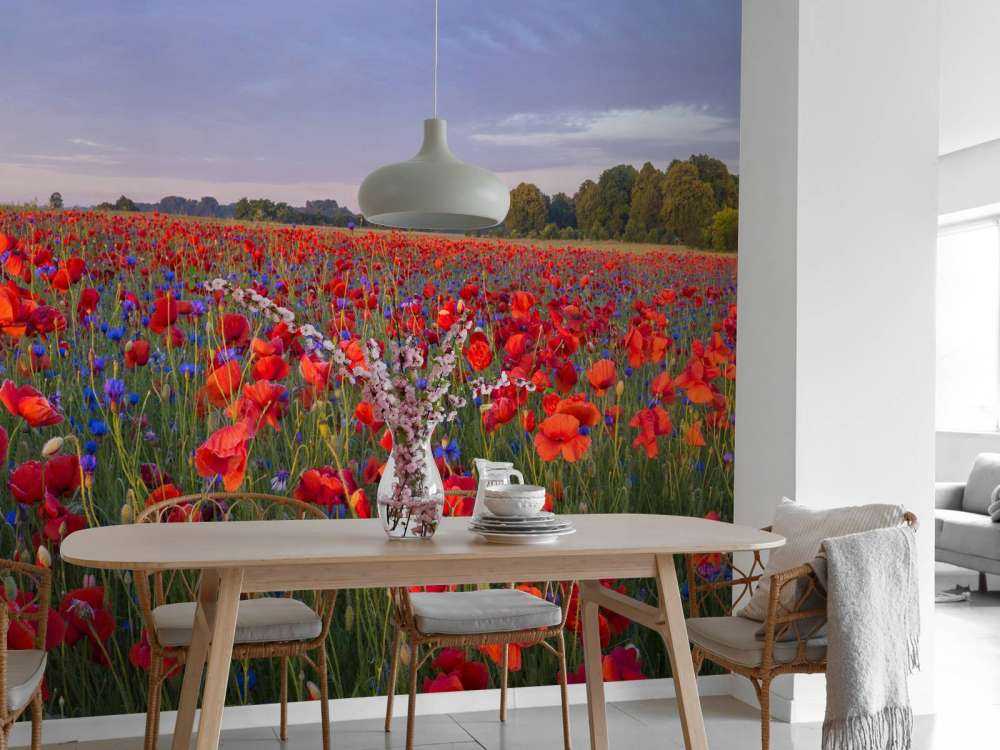 Fleurs bleues et coquelicots rouges