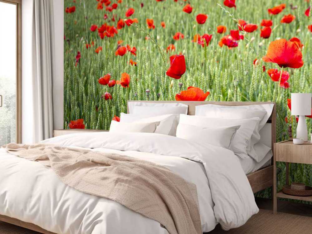 Champ de coquelicots rouges