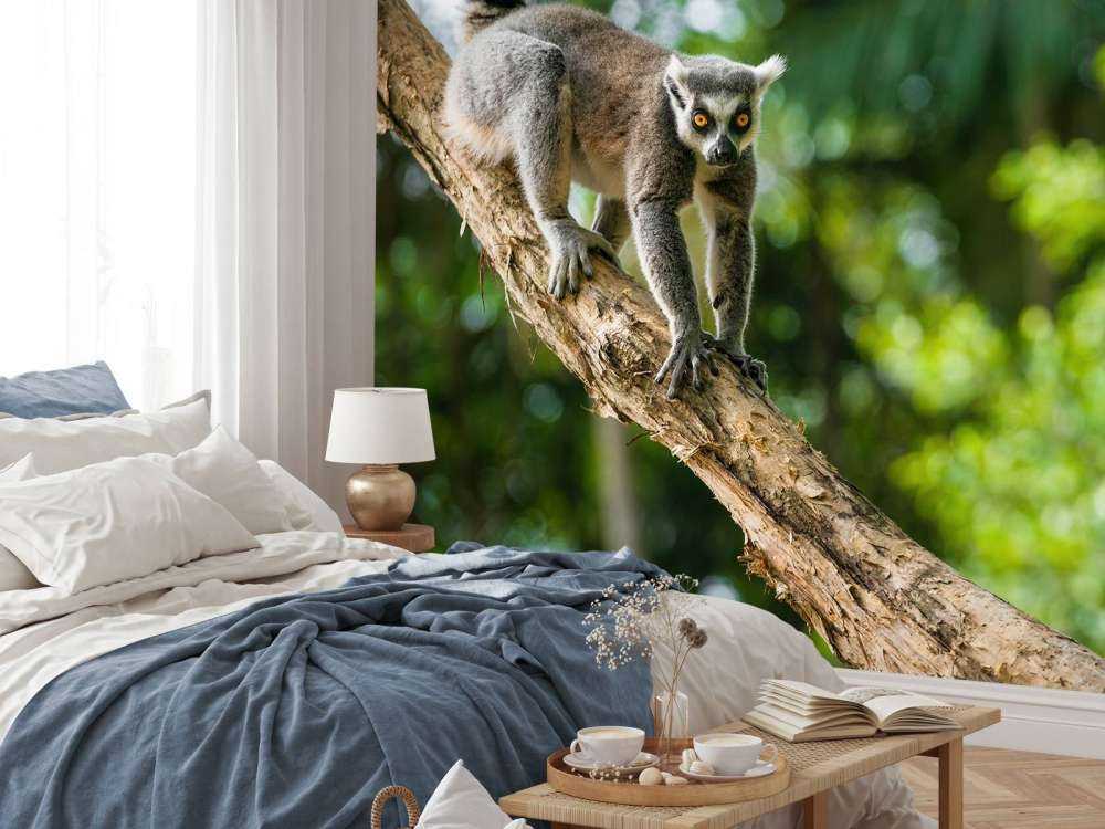 Lémurien dans un arbre