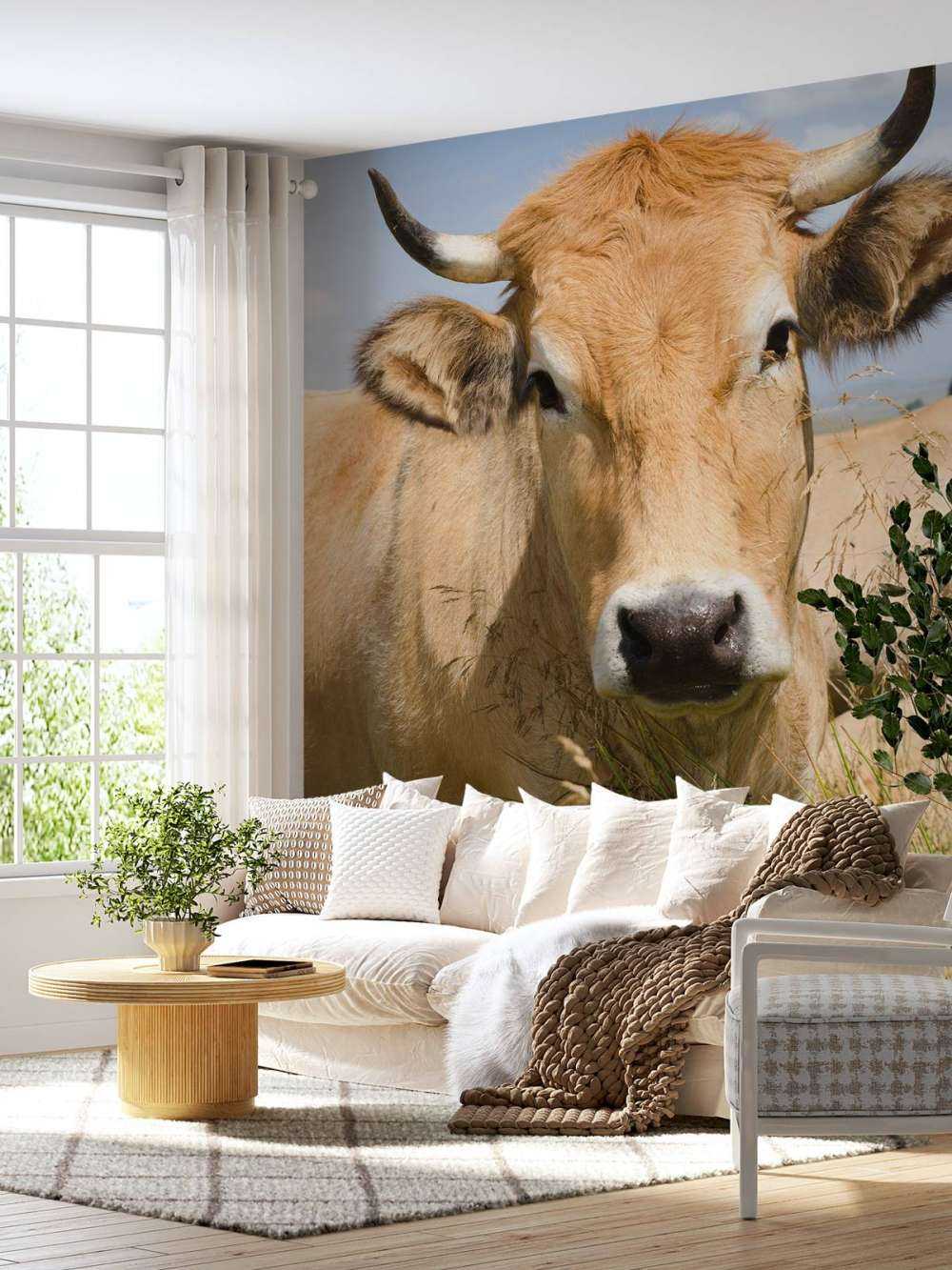 Vache à cornes