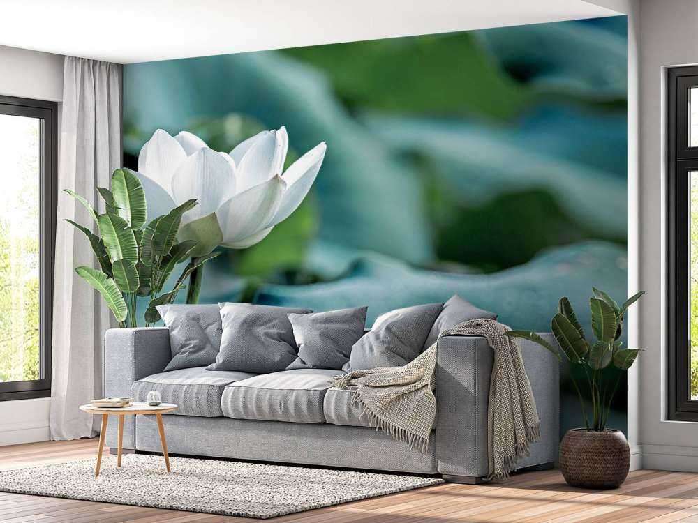 Fleur de lotus blanc