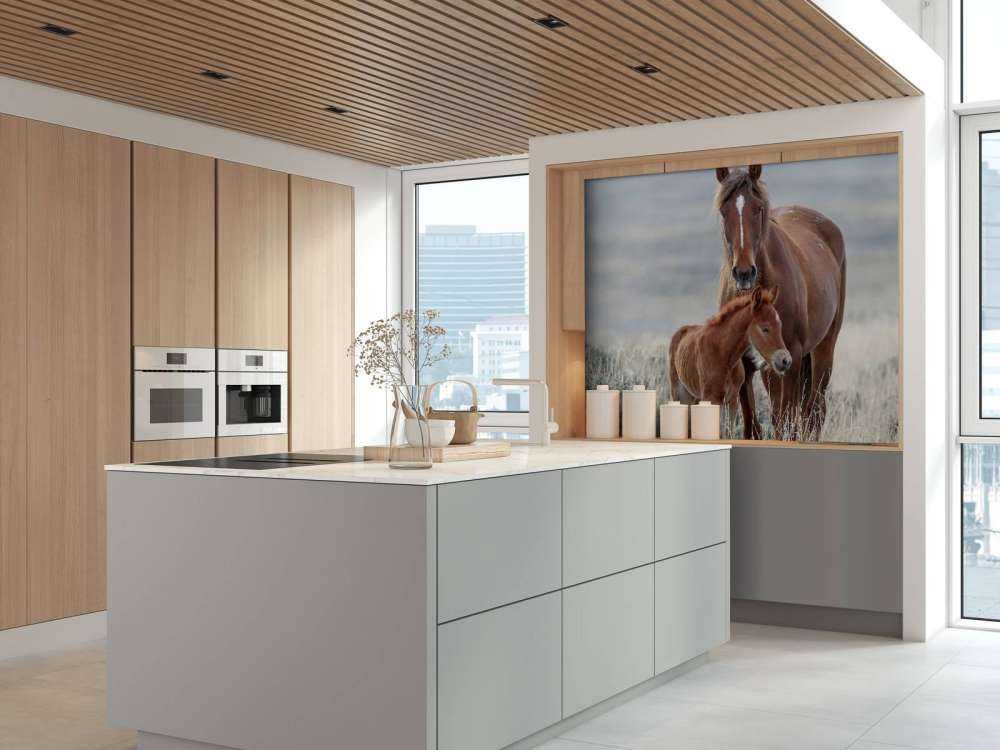 Chevaux sauvages