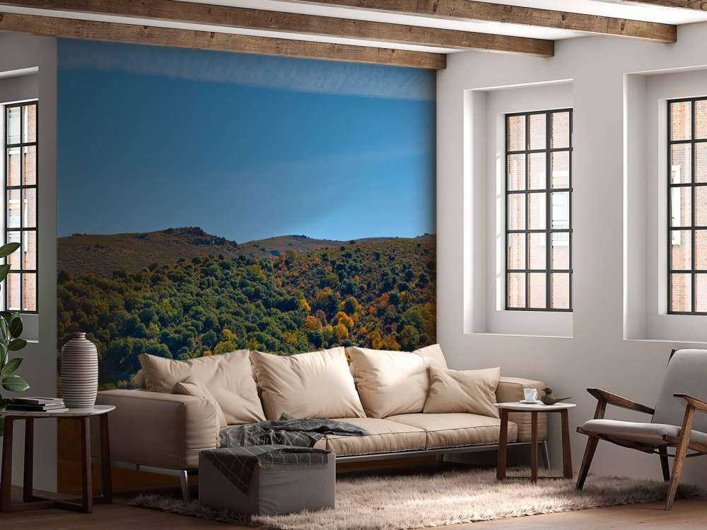 L'automne dans les montagnes