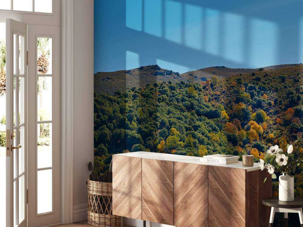 L'automne dans les montagnes