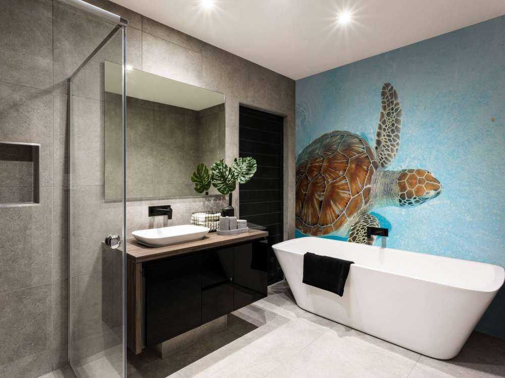 Une tortue dans l'eau