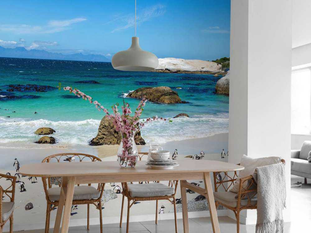 Plage avec pingouins
