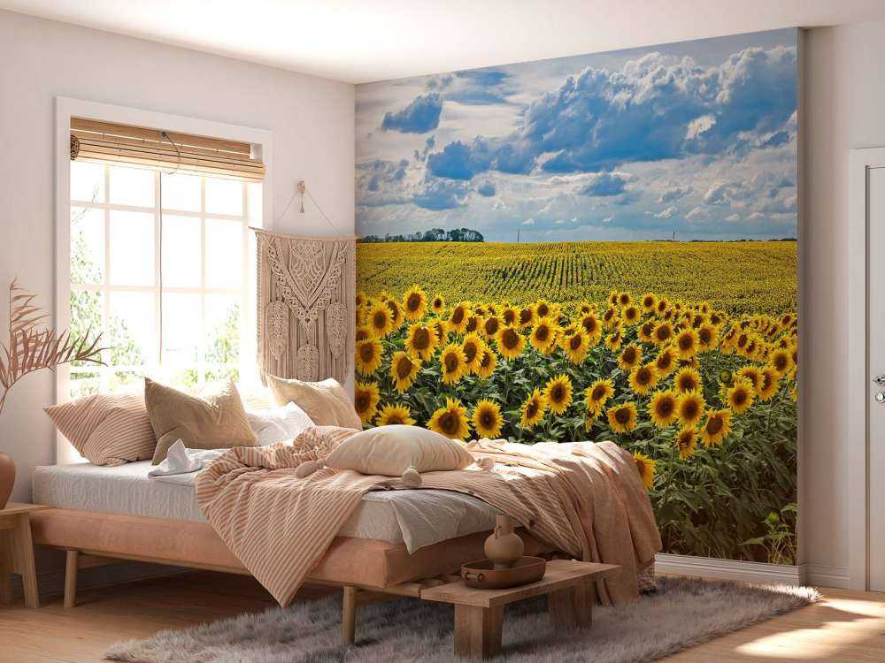 Une prairie pleine de tournesols