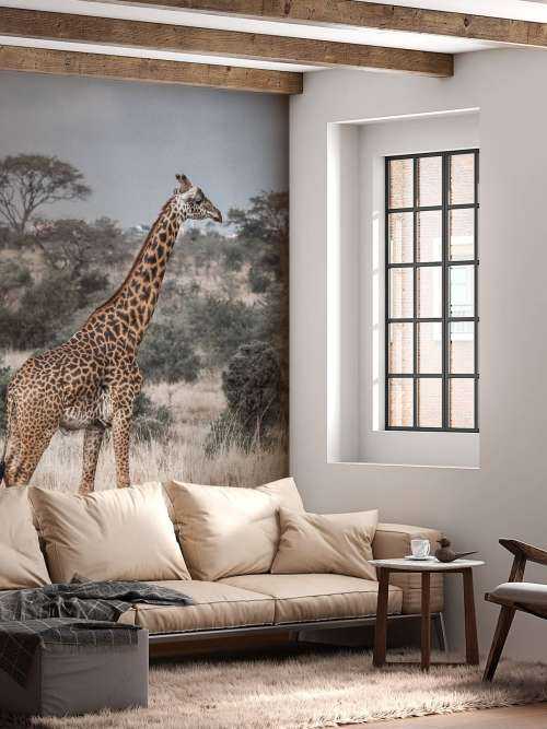 Portrait de girafe