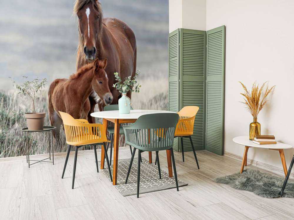 Chevaux sauvages