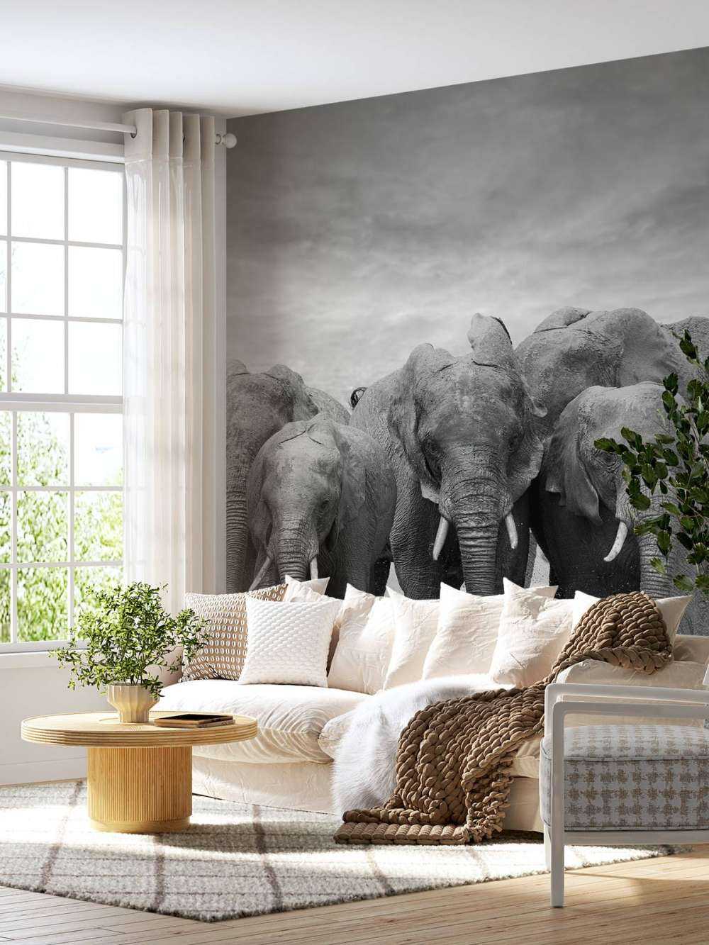 Troupeau d'éléphants
