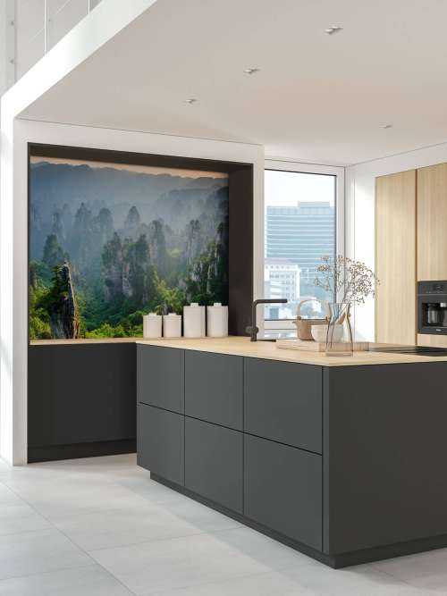 Jungle d'en haut
