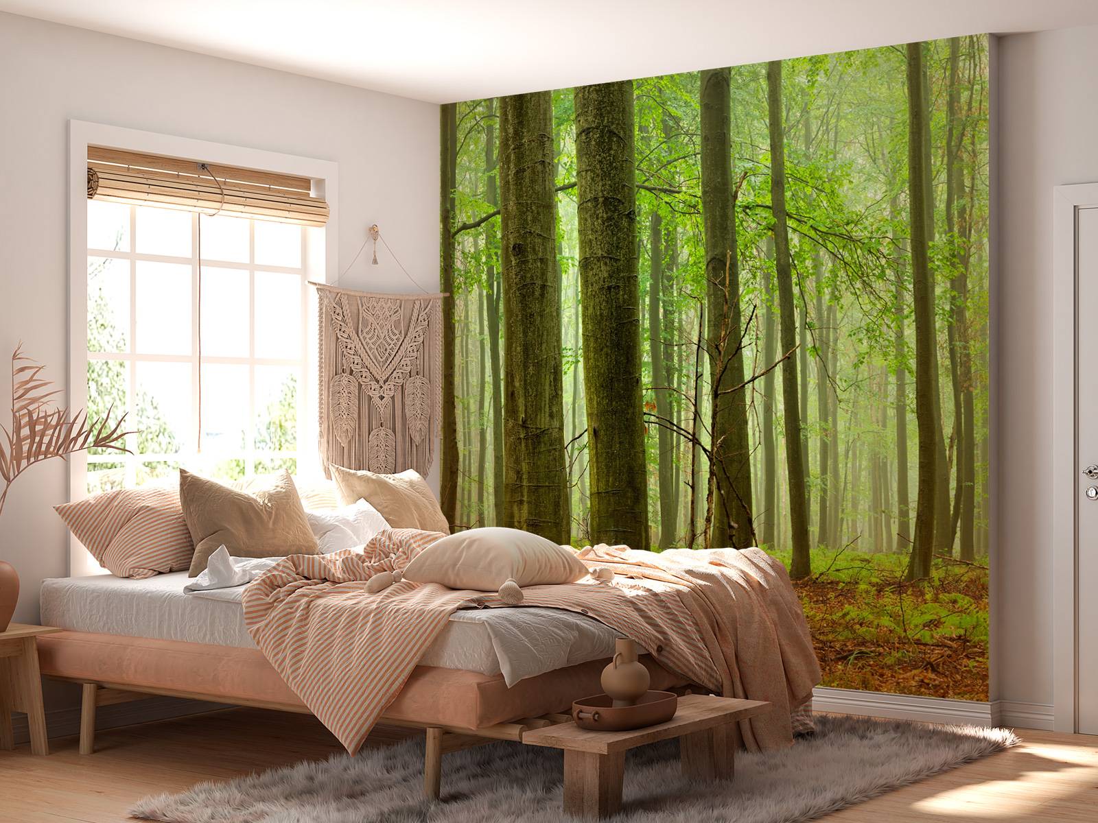 Forêt de hêtres