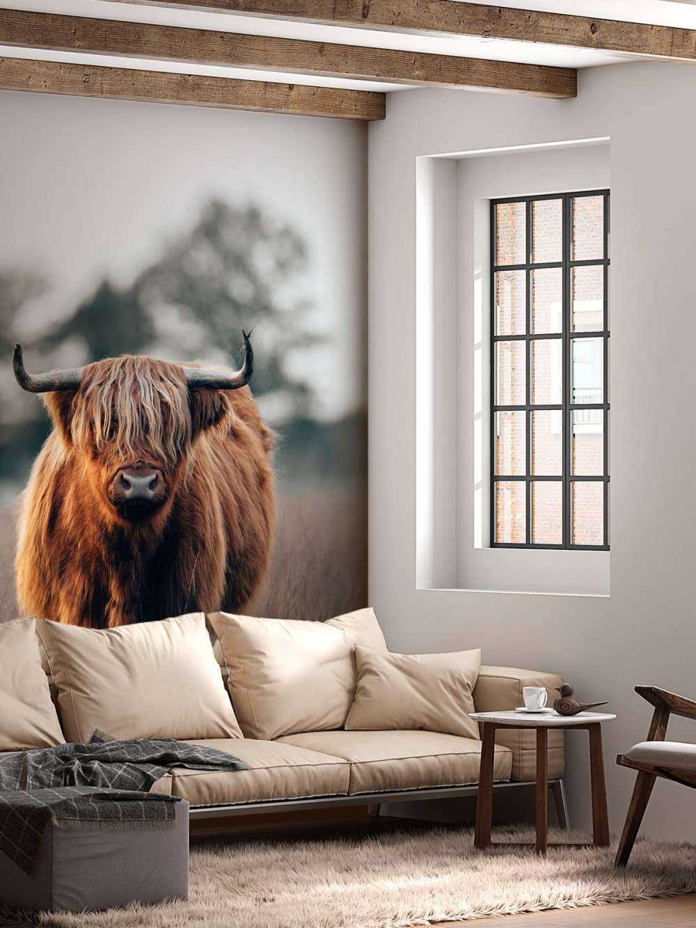Portrait d'un bovin des Highlands