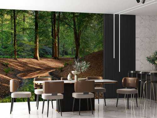 Ruisseau dans la forêt