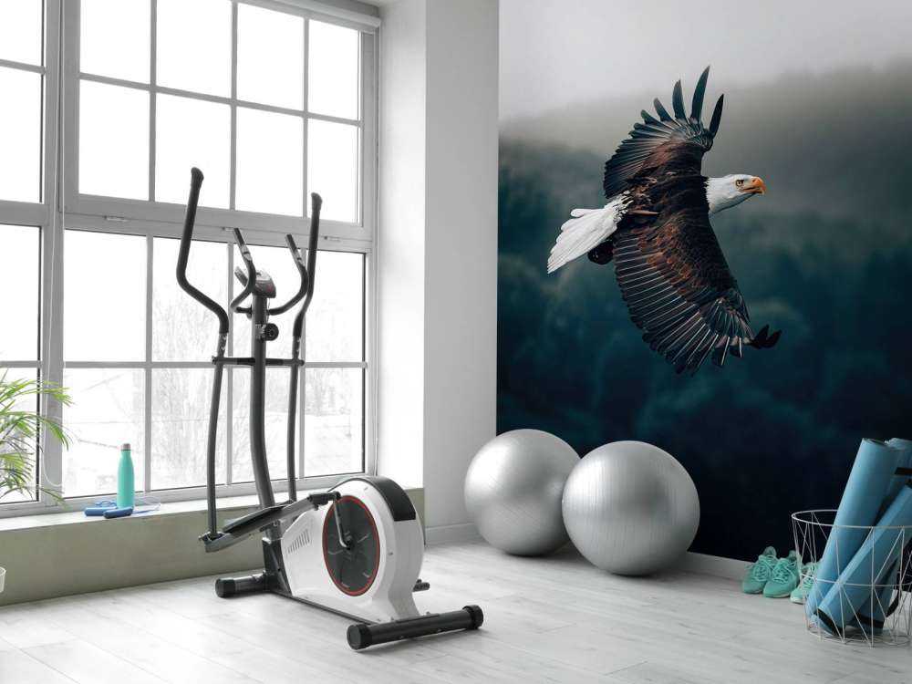 Aigle volant