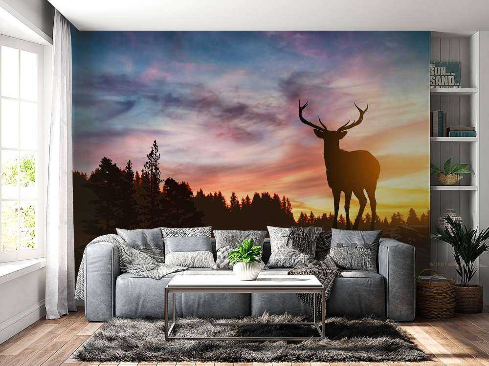 Cerf pendant le coucher du soleil