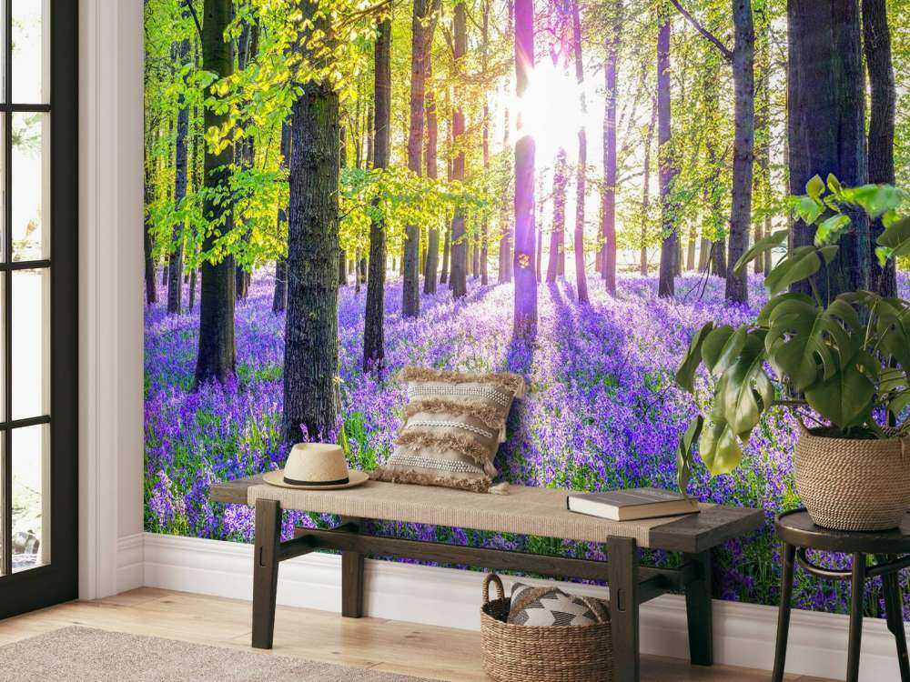 Forêt colorée