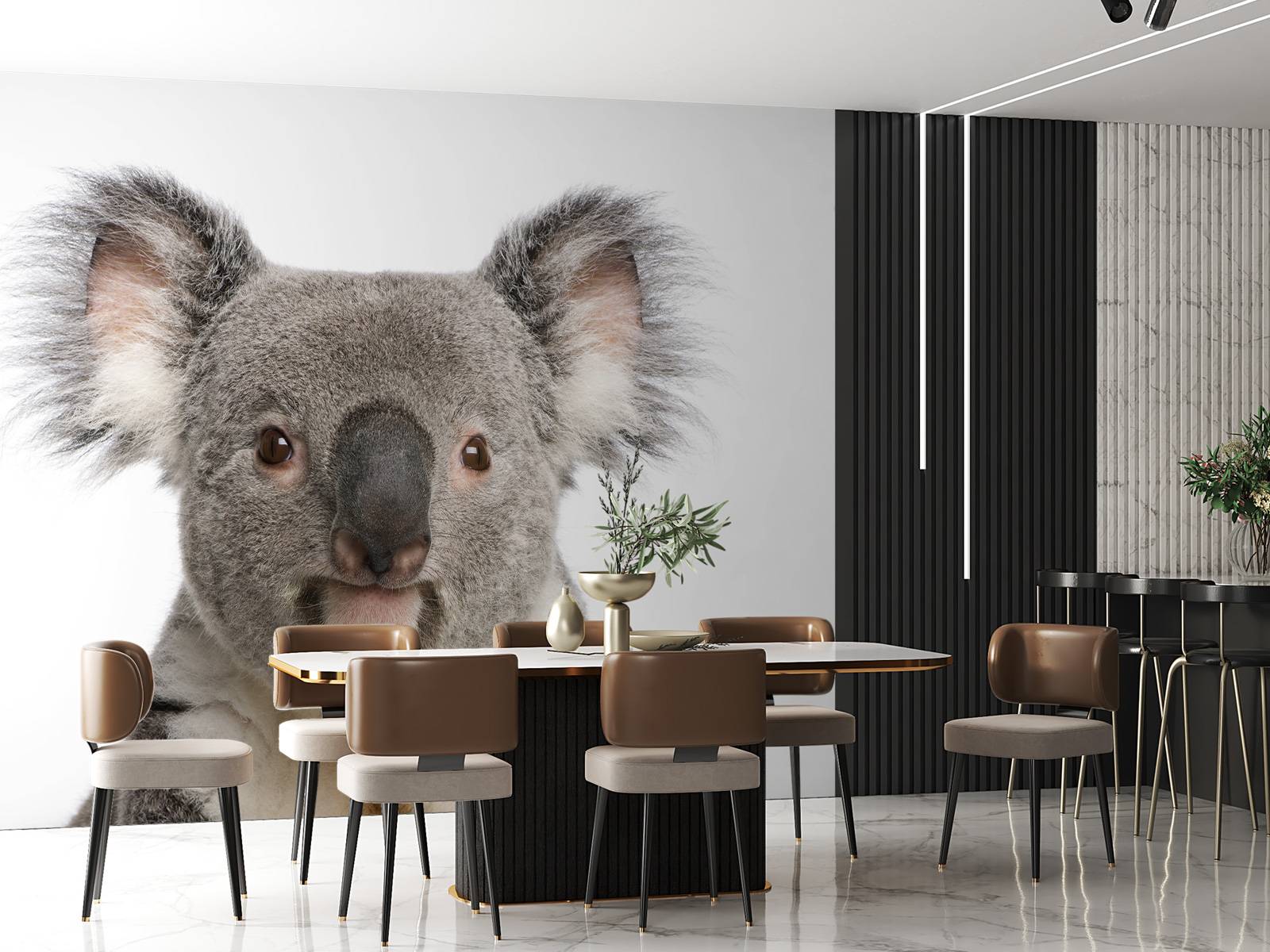 Photo d'un koala