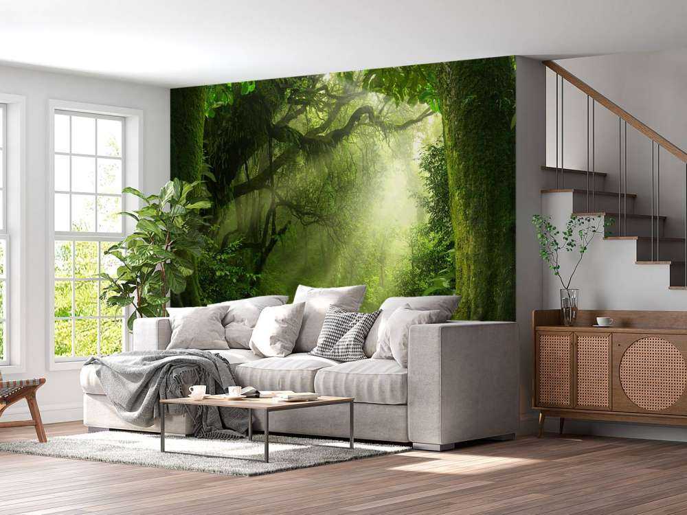 Jungle avec des rayons de soleil