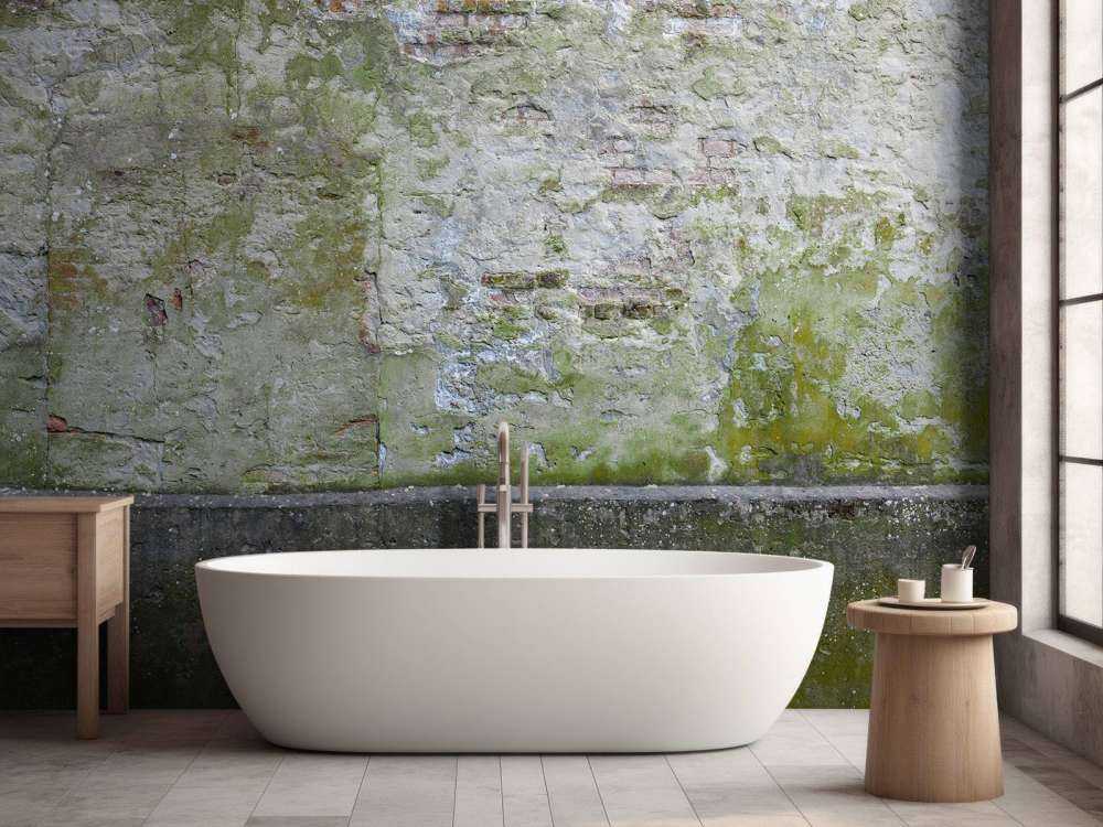 Mousse sur un vieux mur