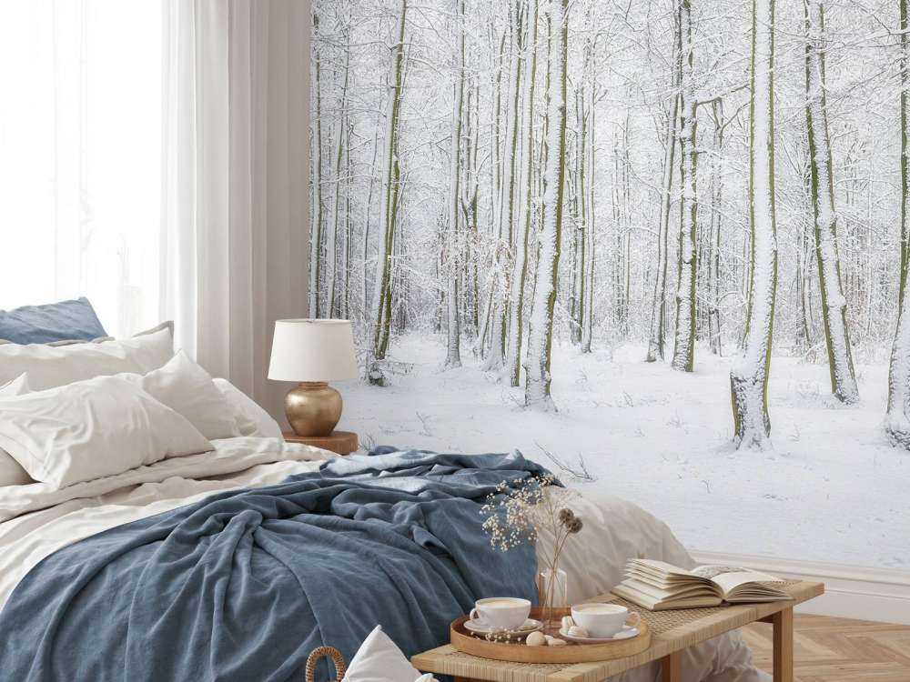 Forêt avec neige
