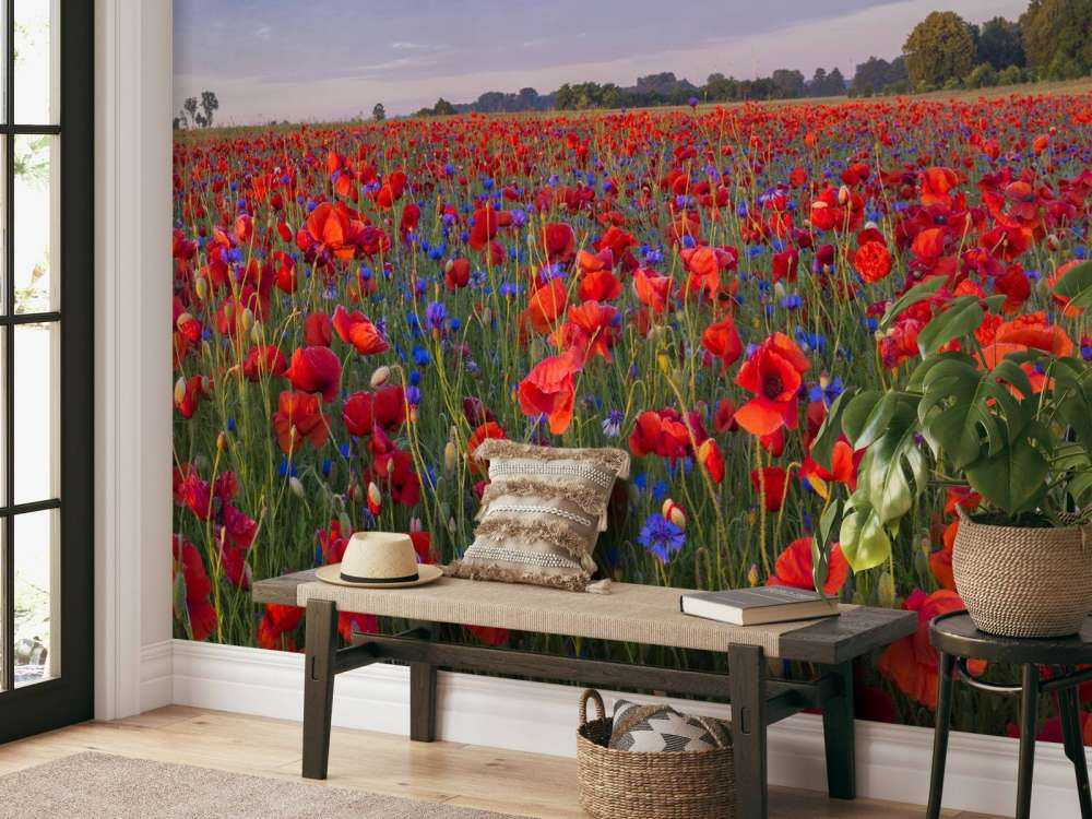 Fleurs bleues et coquelicots rouges