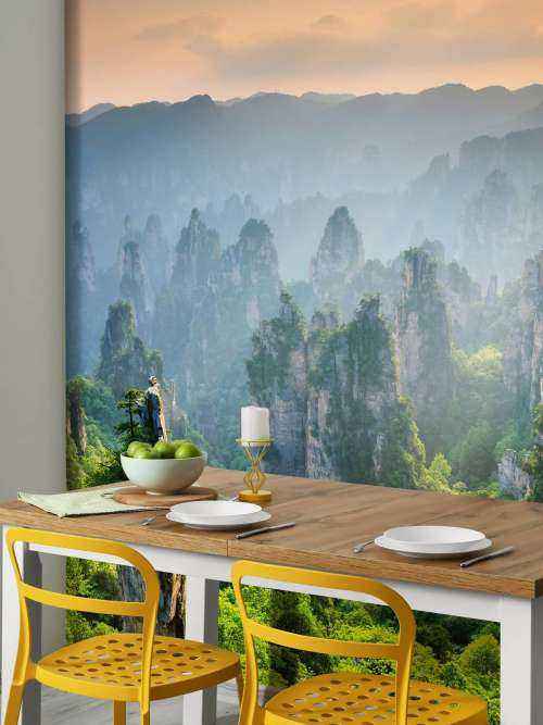 Jungle d'en haut