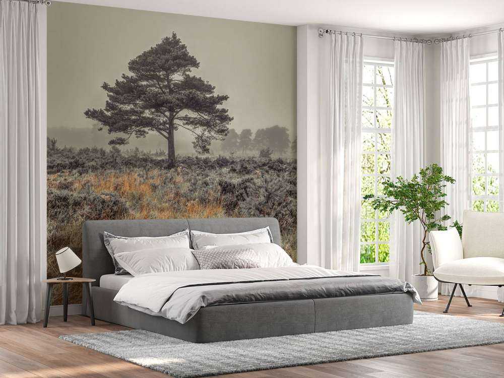Arbre à la campagne