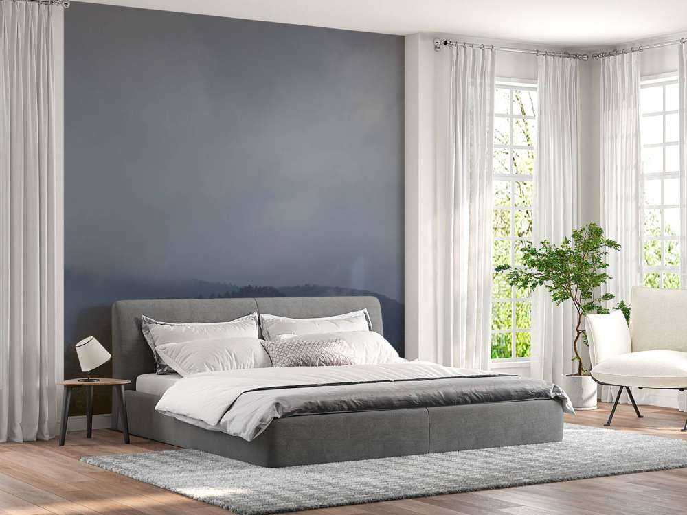 Nuages au-dessus des arbres dans les montagnes