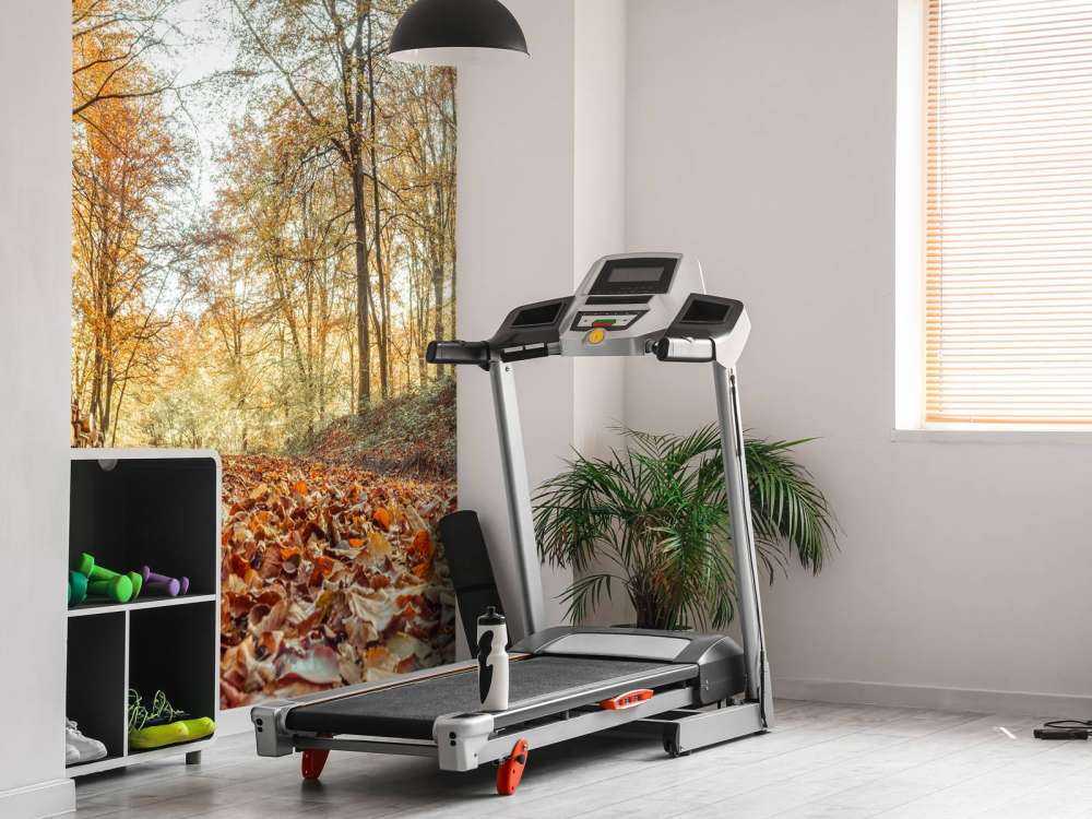 Troncs d'arbres dans la forêt d'automne