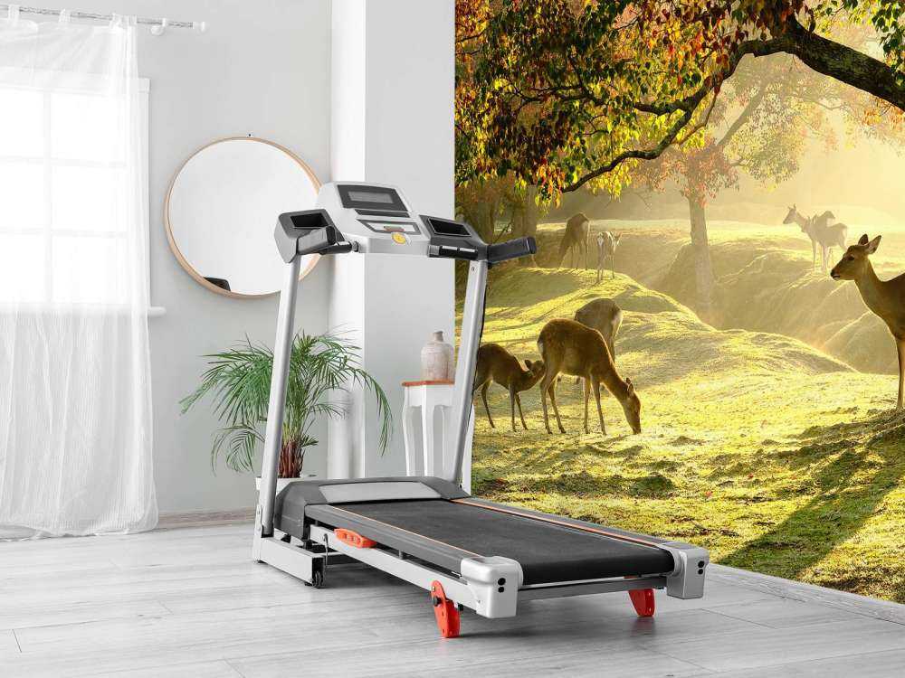 Cerfs à la campagne