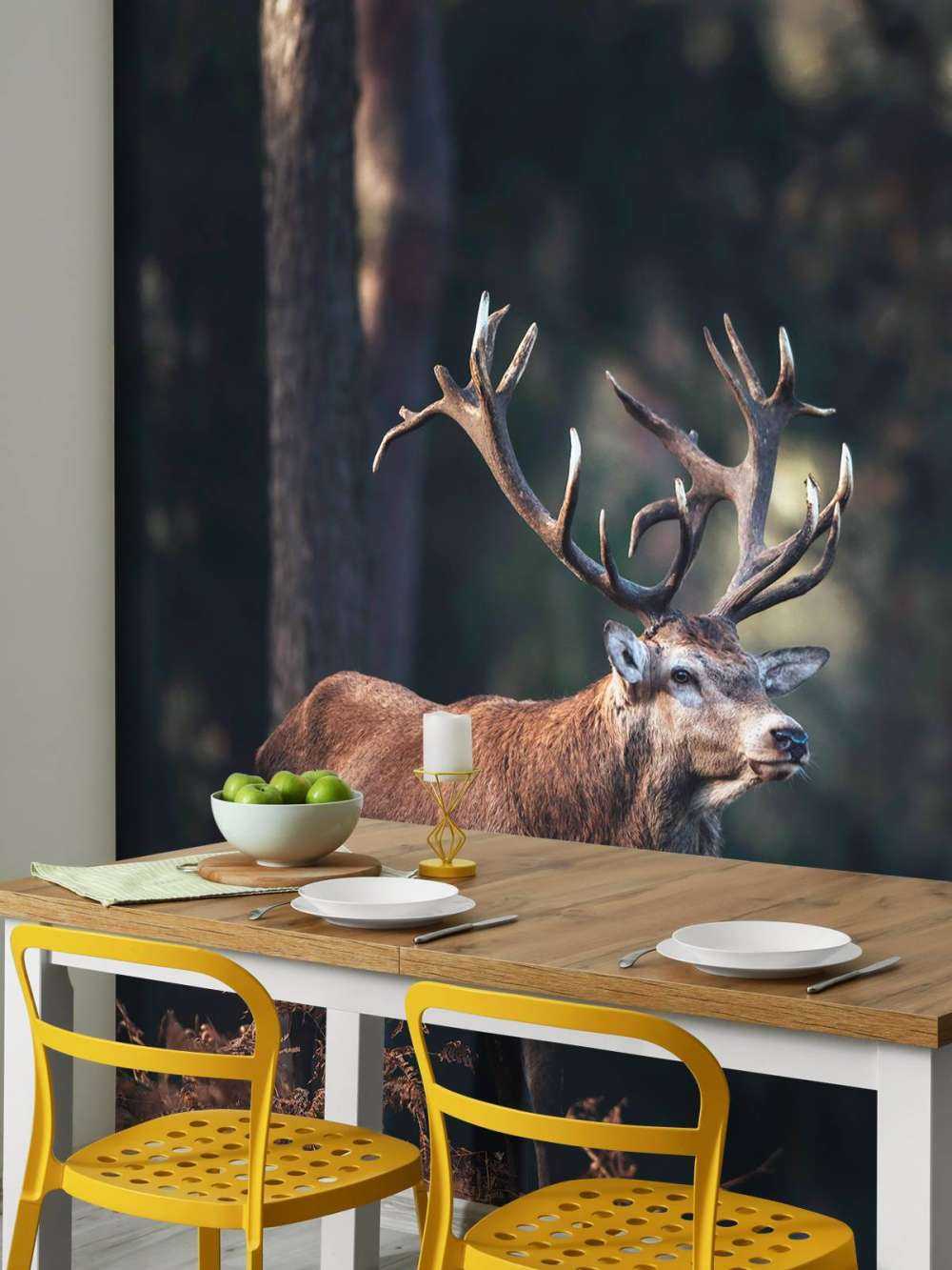 Un cerf sur une colline