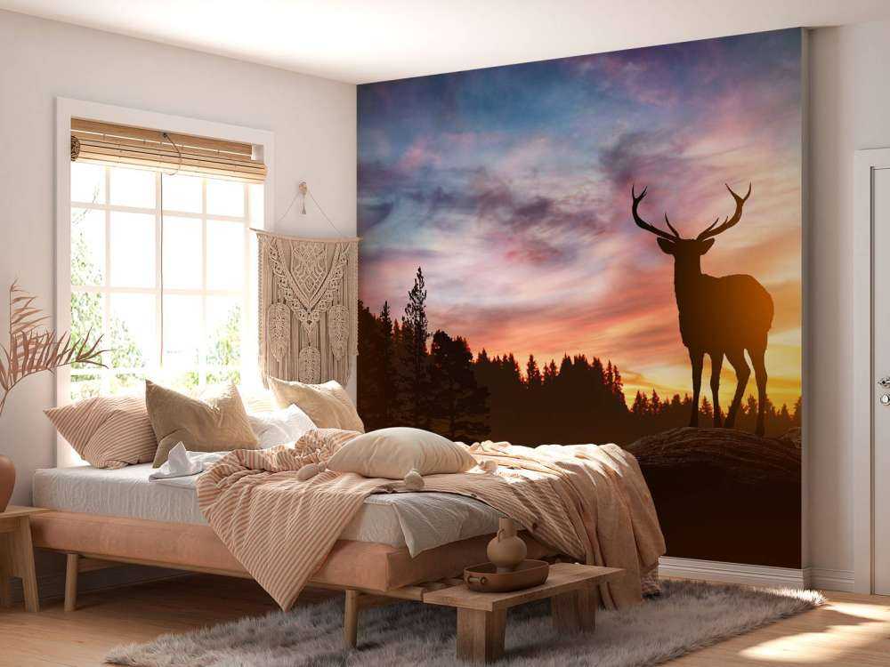 Cerf pendant le coucher du soleil