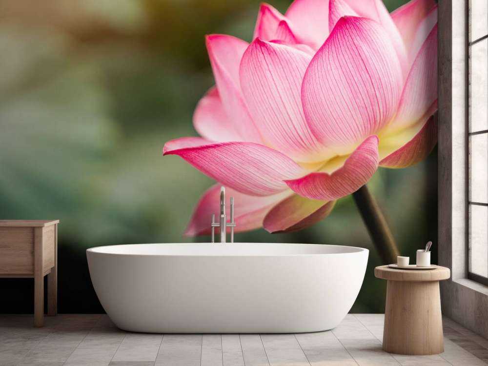 Lotus en vert