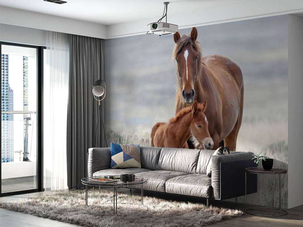 Chevaux sauvages
