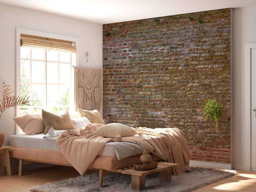 Ancien mur d'enceinte de la ville en pierre avec des plantes