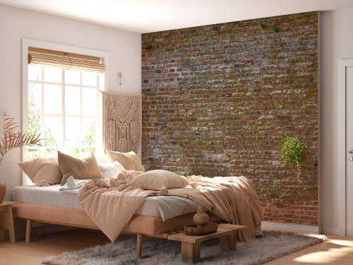 Ancien mur d'enceinte de la ville en pierre avec des plantes