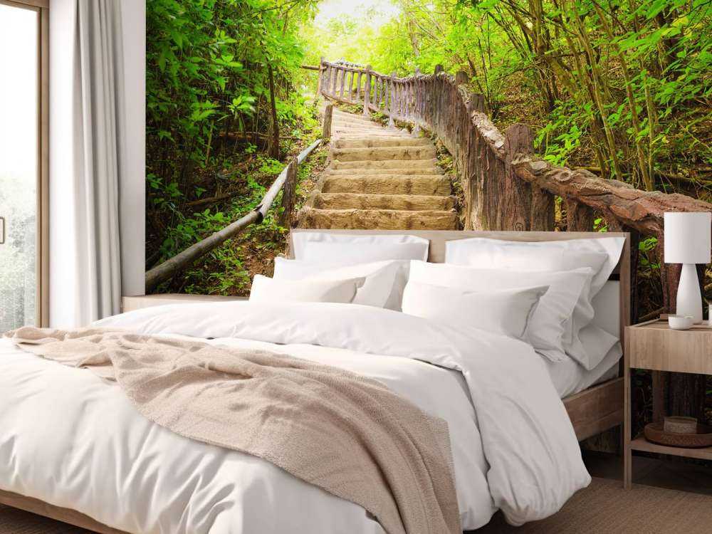 Escalier en forêt