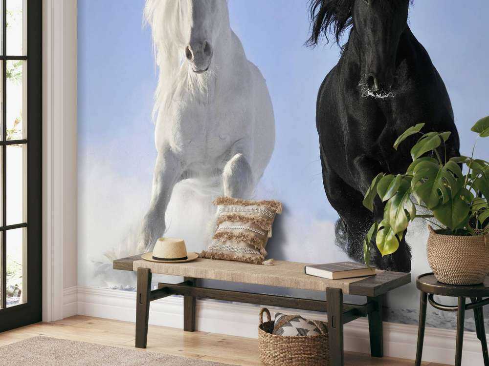 Cheval blanc et noir