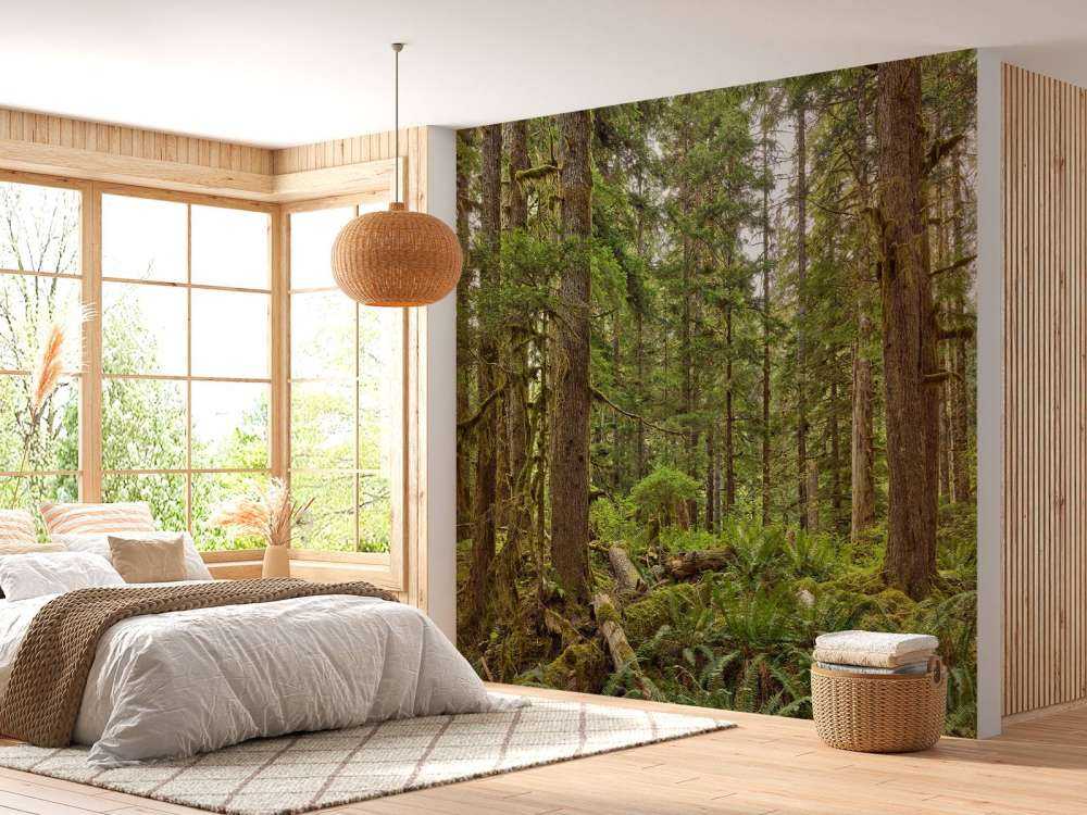 Forêt sauvage