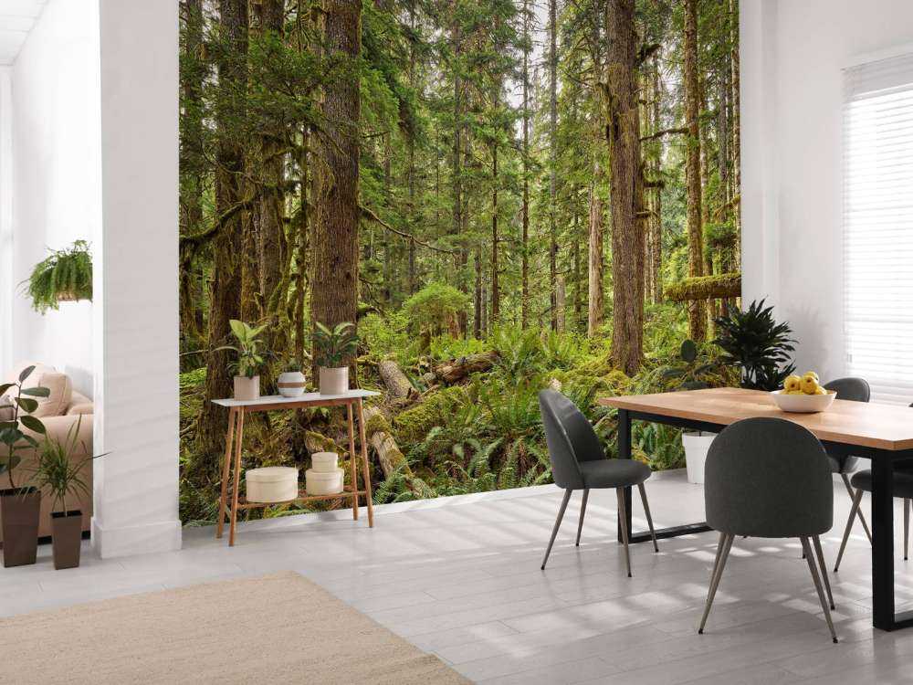 Forêt sauvage