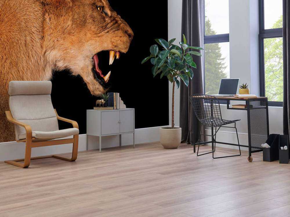 Lionne vue de côté