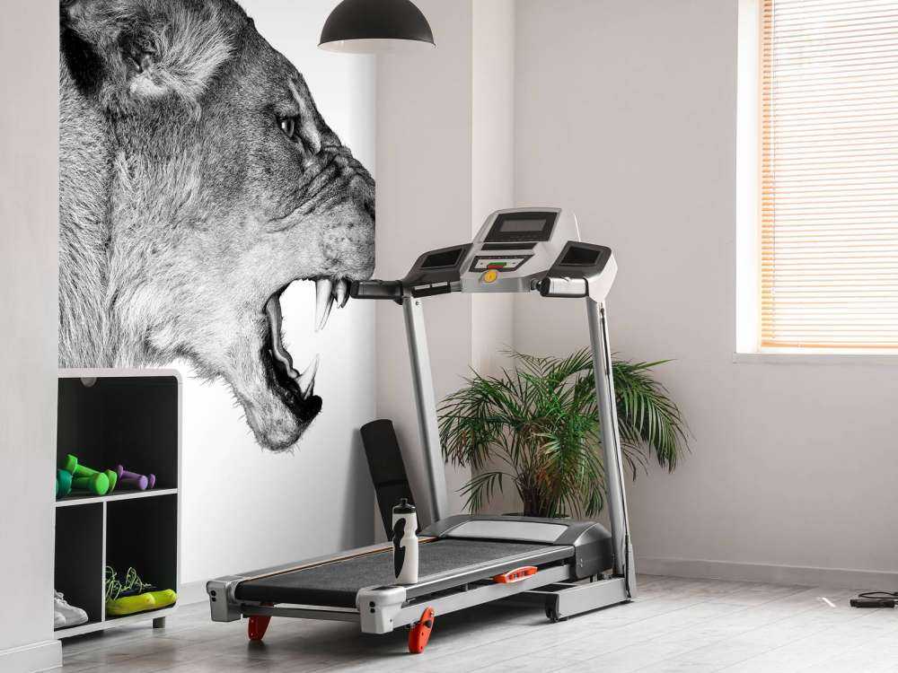 Lionne vue de côté blanc