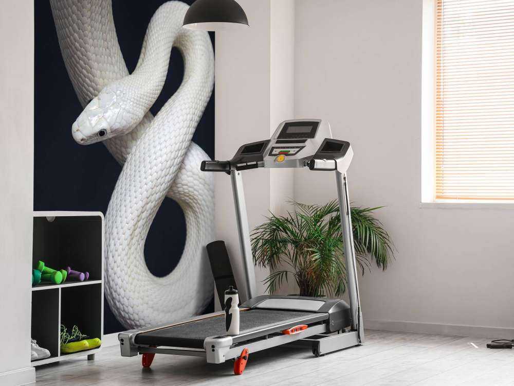 Serpent à sonnettes du Texas
