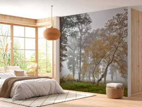 Champ d'herbe avec des arbres et du brouillard
