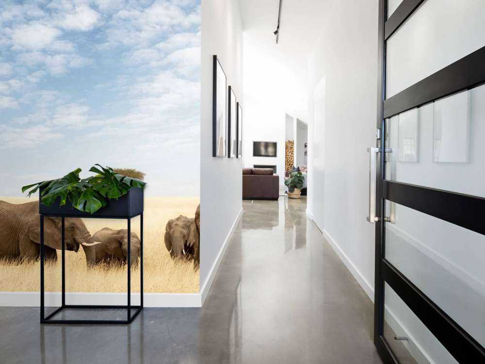 Groupe d'Éléphants