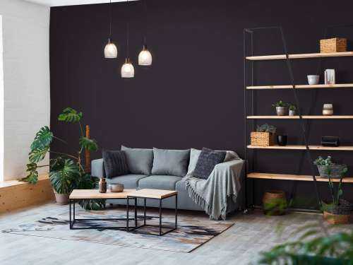 Gris anthracite