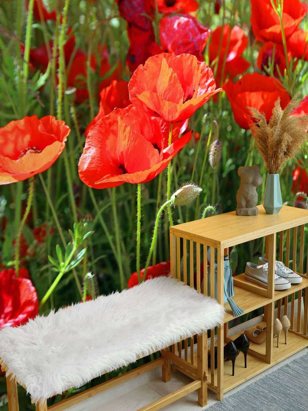 Gros plan sur des coquelicots