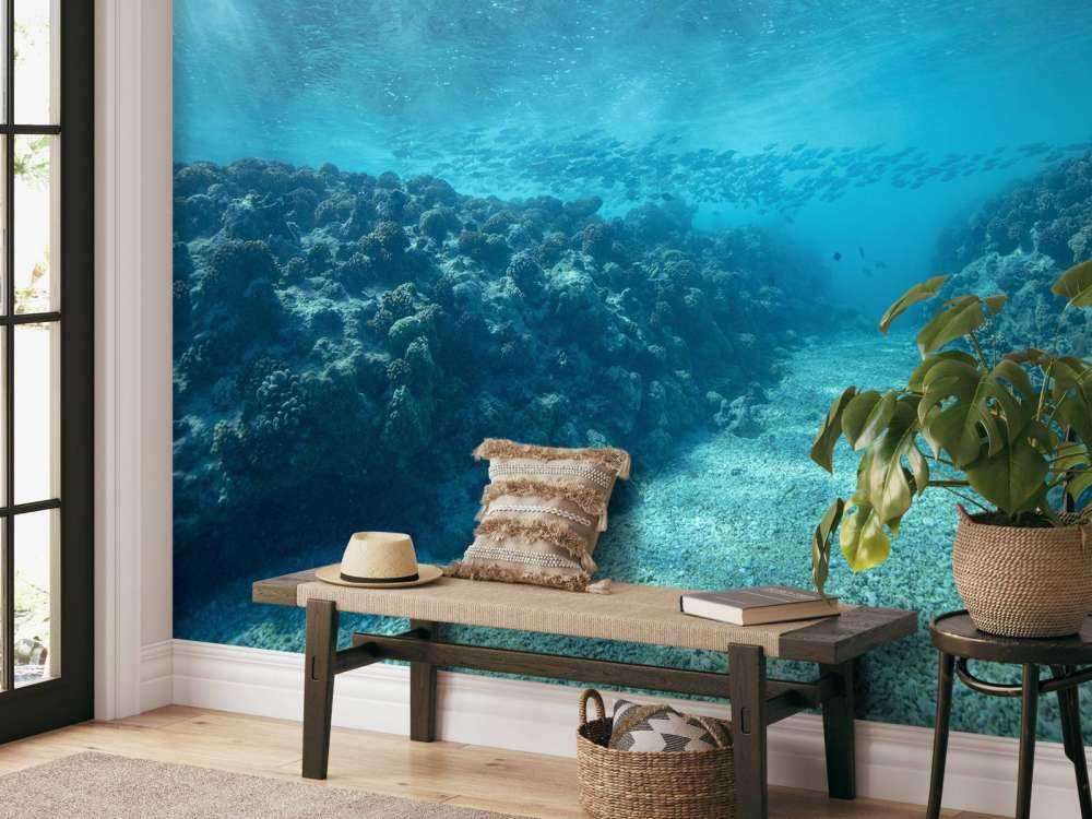 Monde sous-marin avec corail